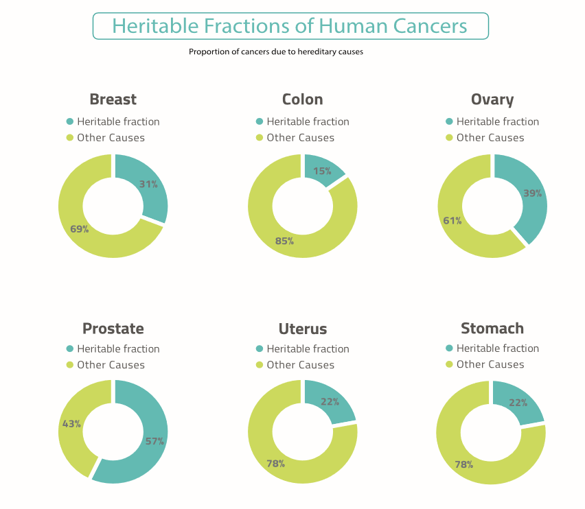 Heritable Fractions of Human Cancers